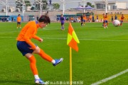 澳门新葡京娱乐城官网-冬训热身赛：山东泰山1-1天津津门虎，买乌郎破门
